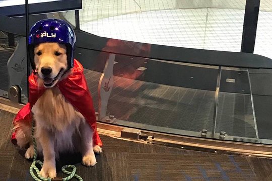 Tour image 9