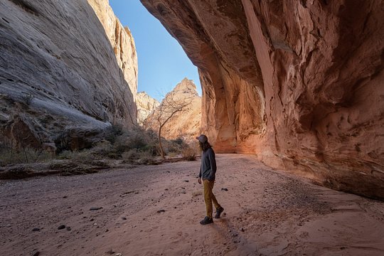Tour image 13